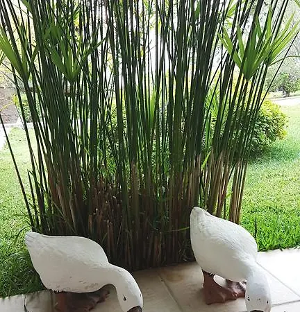 Oikia I, Luxury Stone House In Elani Casa vacanze